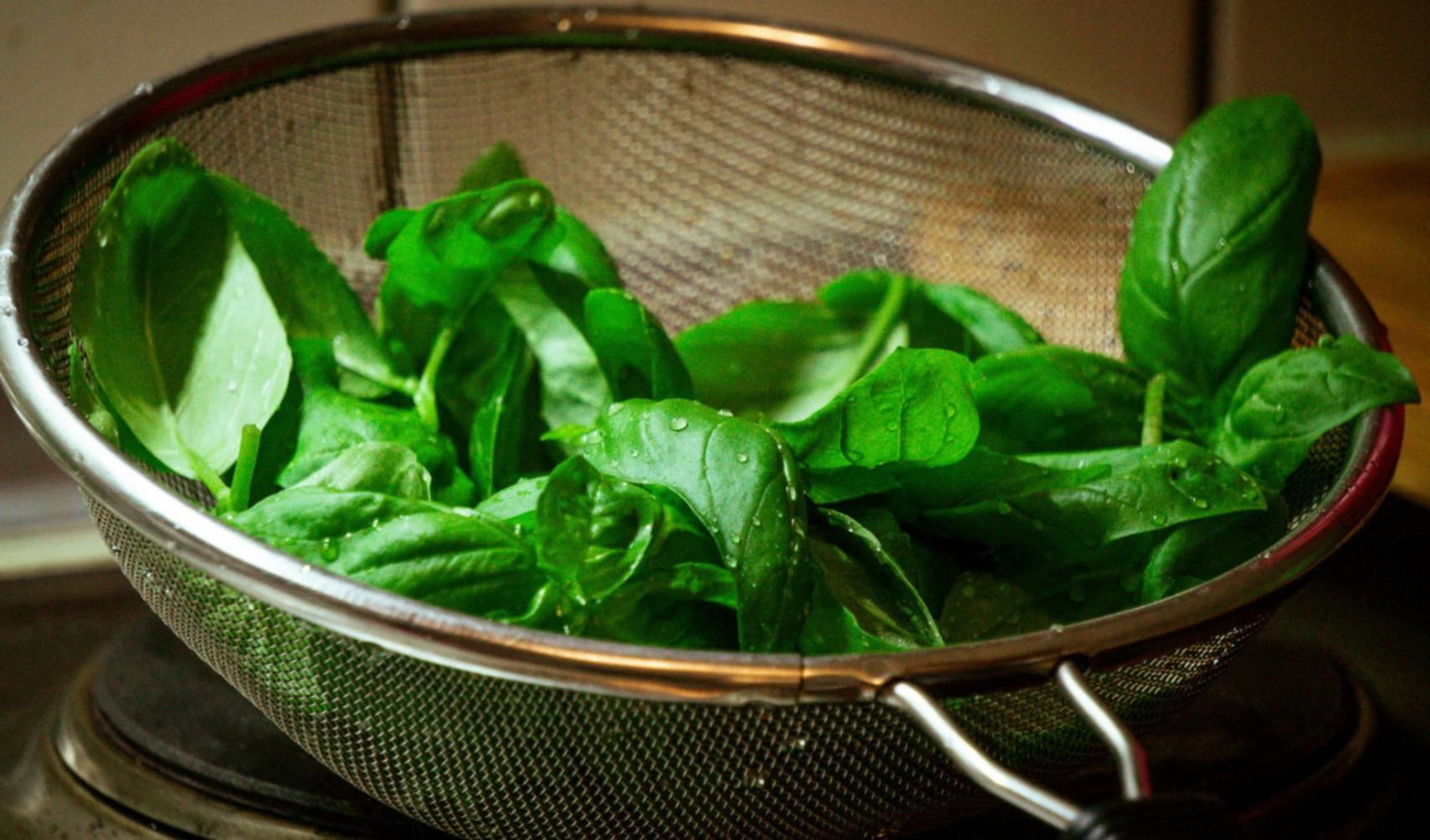 Behind-the-scenes view of professional bakery planning and recipe development